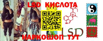 PSILOCYBIN Долгопрудный