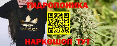PSILOCYBIN Долгопрудный